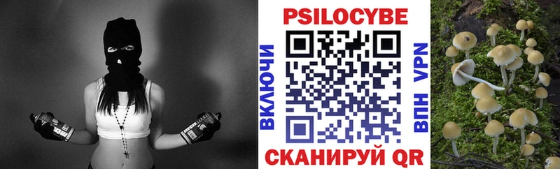 Галлюциногенные грибы Psilocybine cubensis  Ейск 