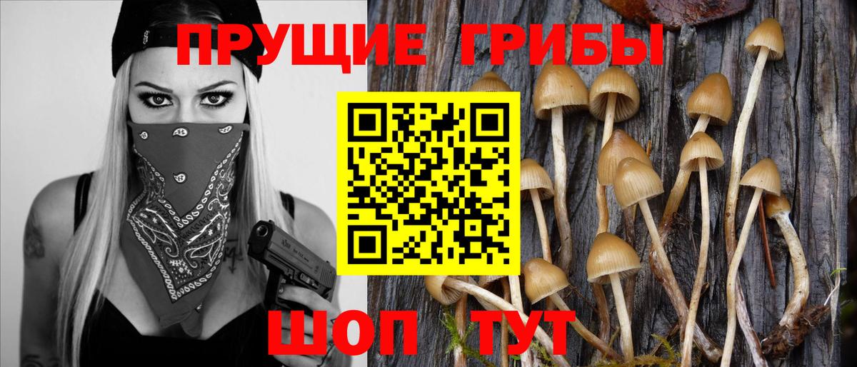 Псилоцибиновые грибы MAGIC MUSHROOMS Ейск