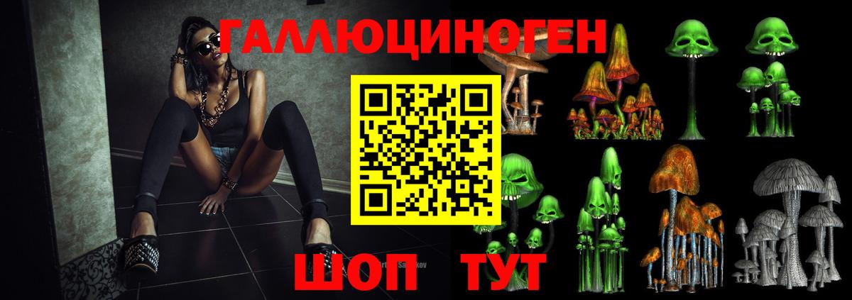Галлюциногенные грибы MAGIC MUSHROOMS  наркошоп  Ейск  Вход с VPN 